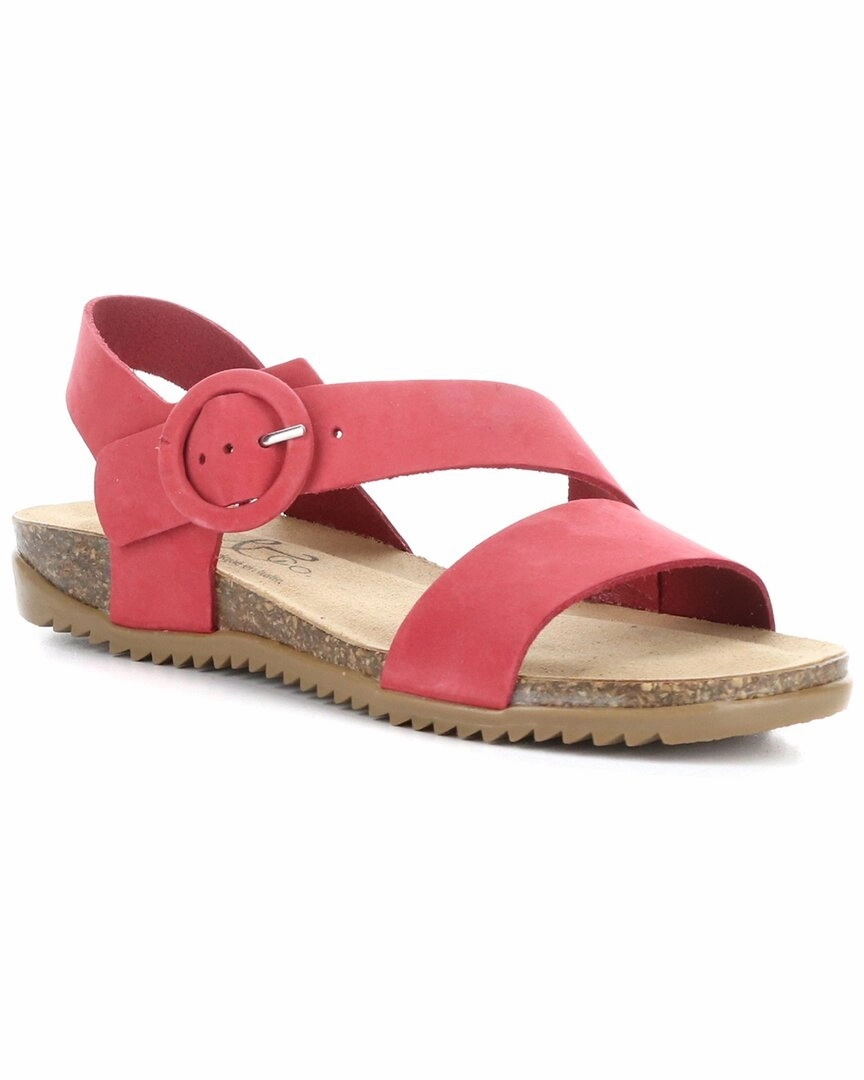 BOS & CO Lavis Suede Sandal