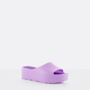 *FINAL SALE* Sunny - Violet||*VENTE FINALE* Sunny - Violet